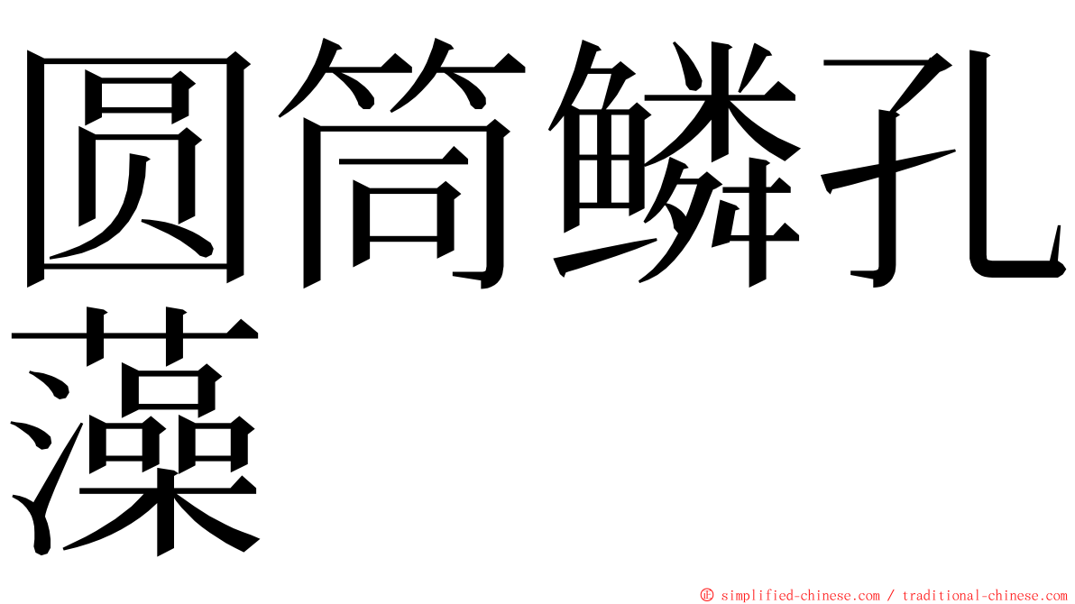 圆筒鳞孔藻 ming font