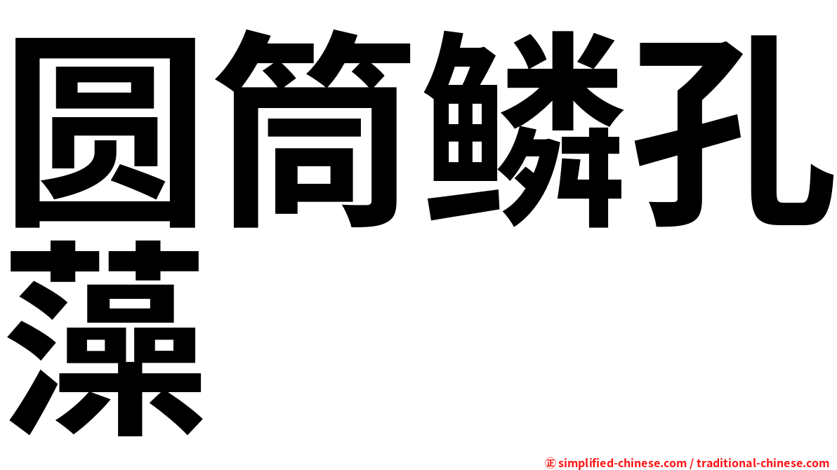 圆筒鳞孔藻