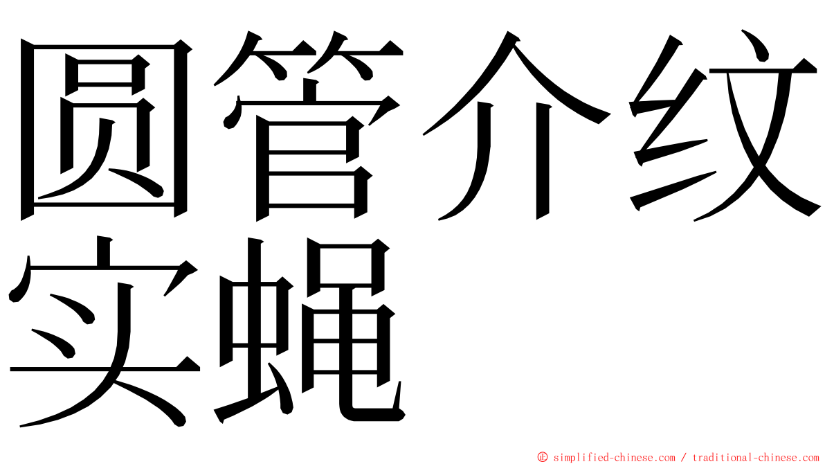 圆管介纹实蝇 ming font