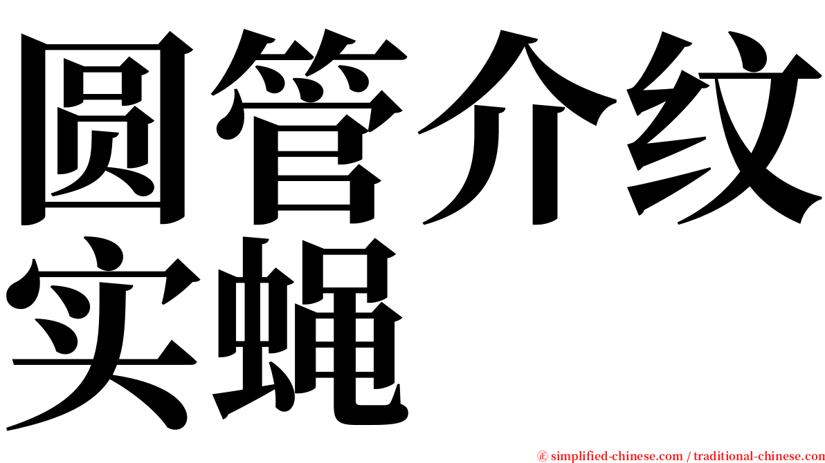 圆管介纹实蝇 serif font