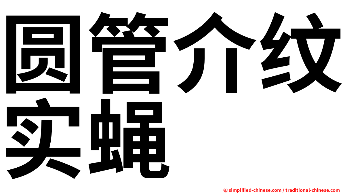 圆管介纹实蝇