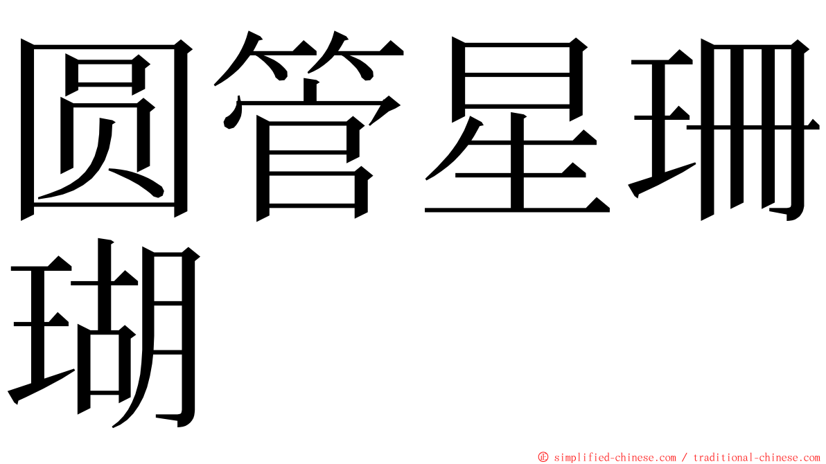 圆管星珊瑚 ming font
