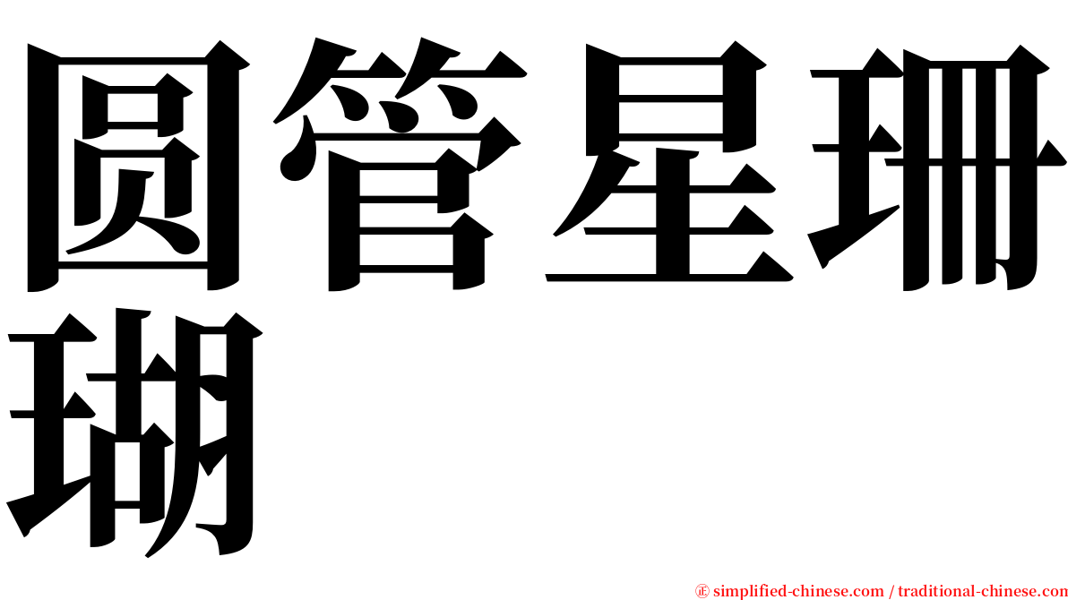圆管星珊瑚 serif font