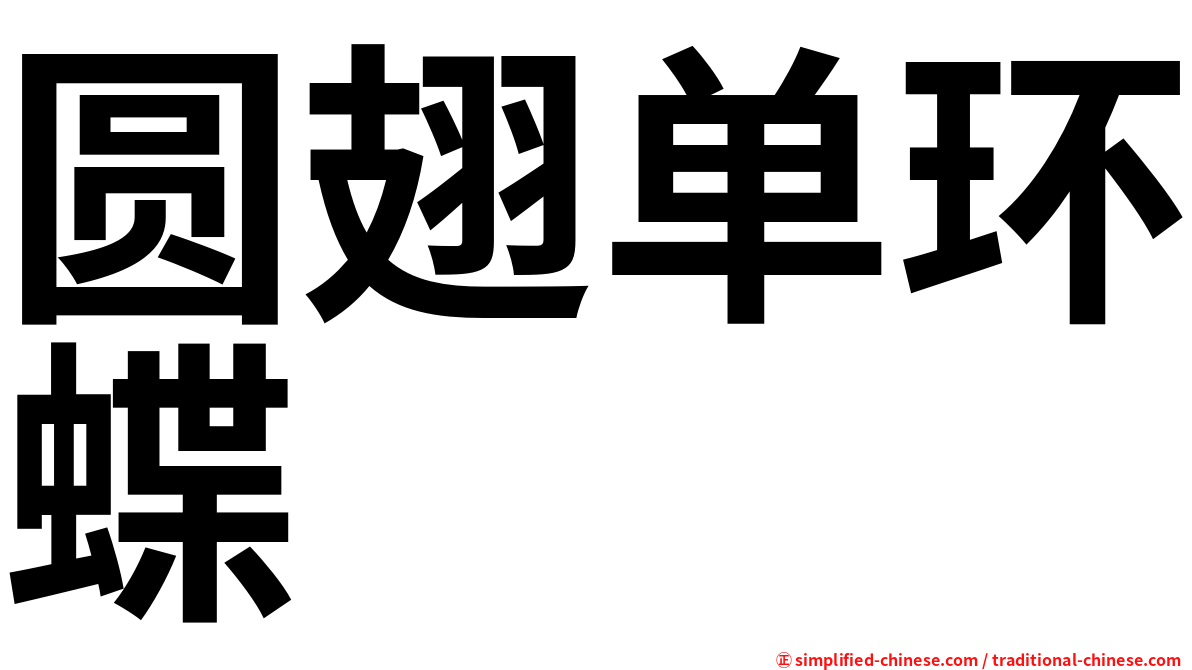 圆翅单环蝶