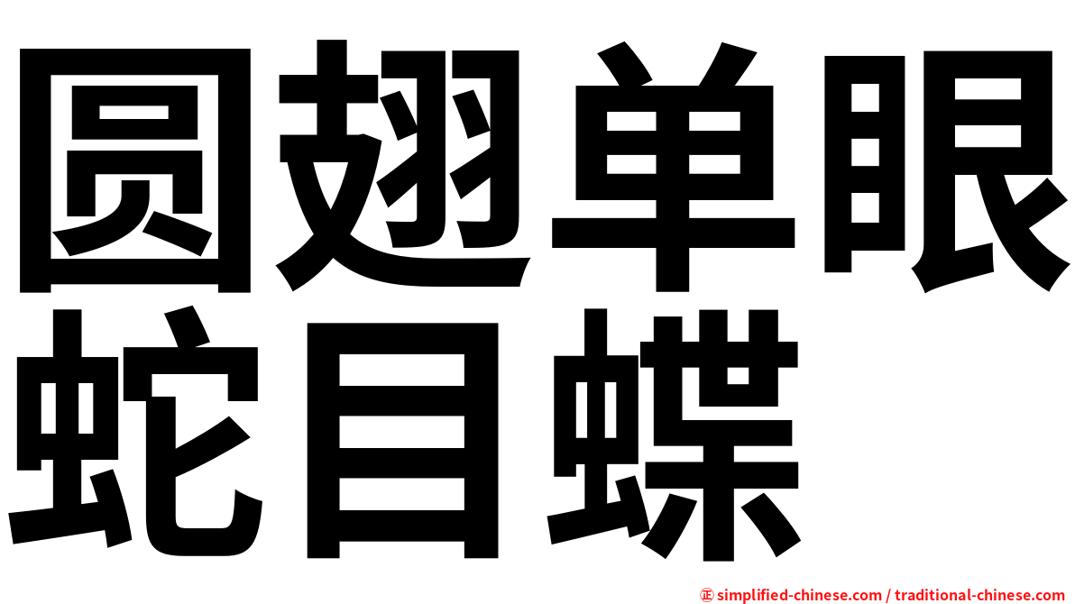 圆翅单眼蛇目蝶