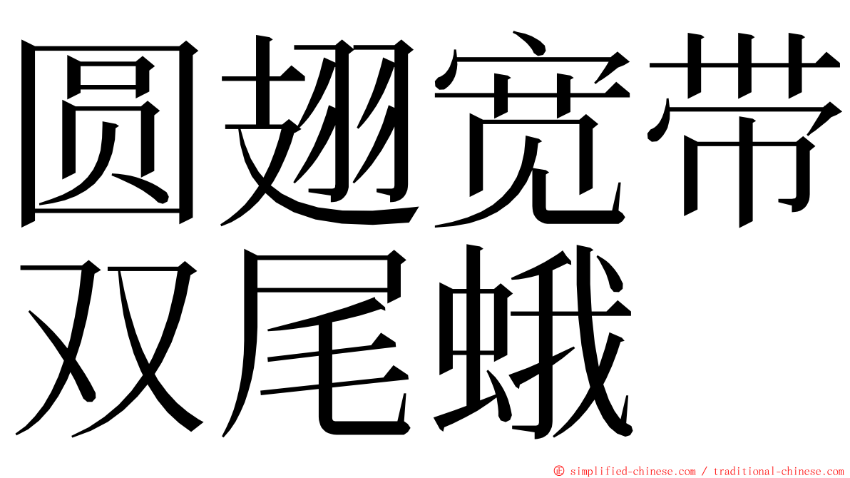 圆翅宽带双尾蛾 ming font