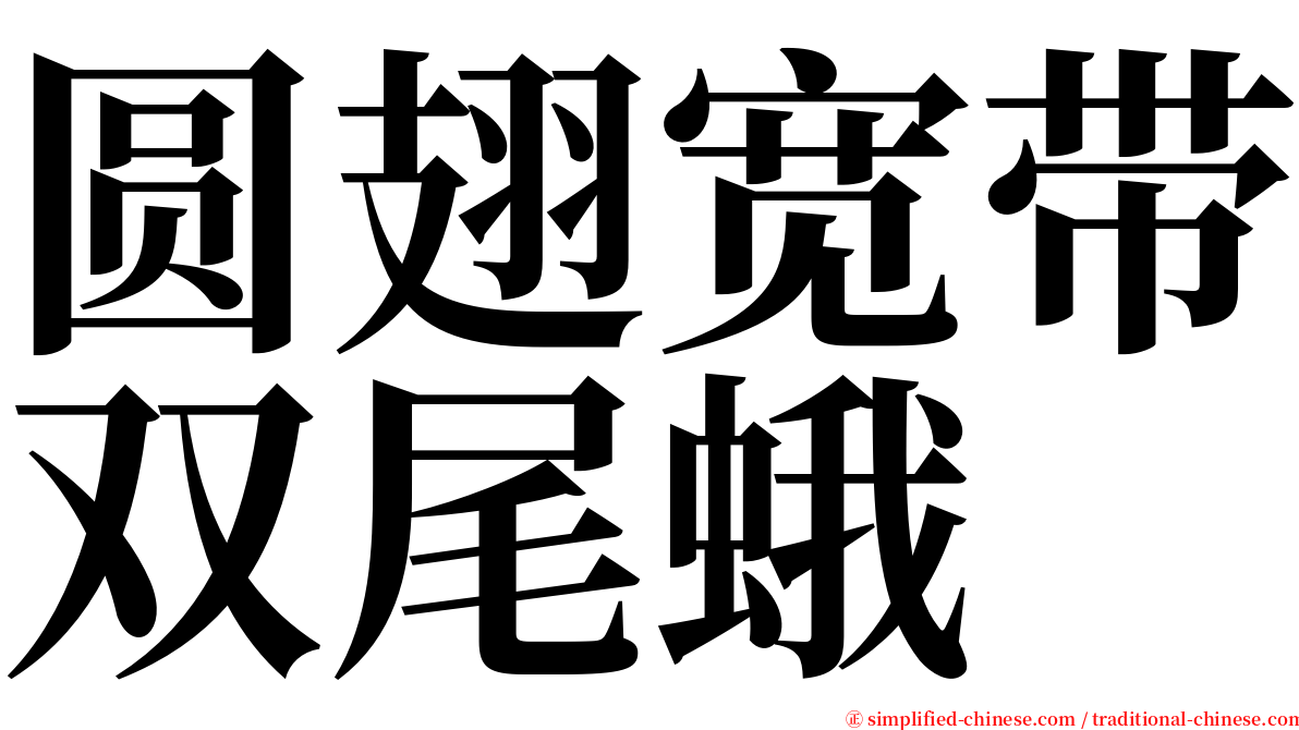 圆翅宽带双尾蛾 serif font