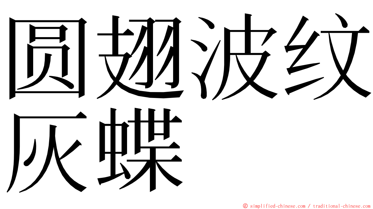 圆翅波纹灰蝶 ming font