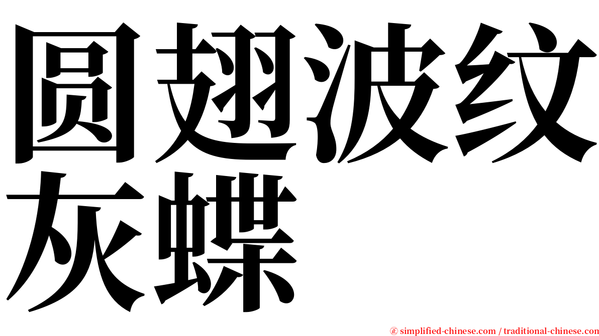 圆翅波纹灰蝶 serif font