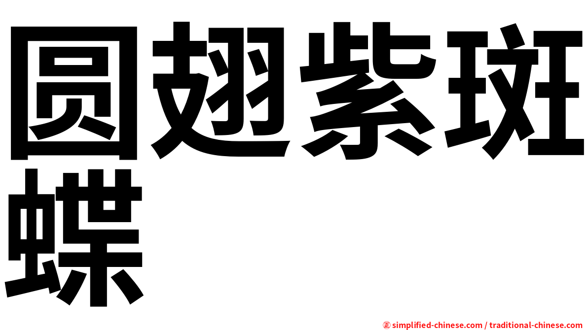圆翅紫斑蝶