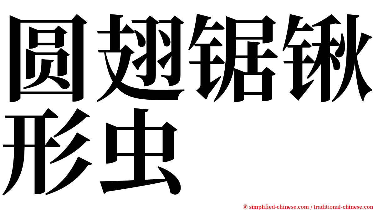 圆翅锯锹形虫 serif font