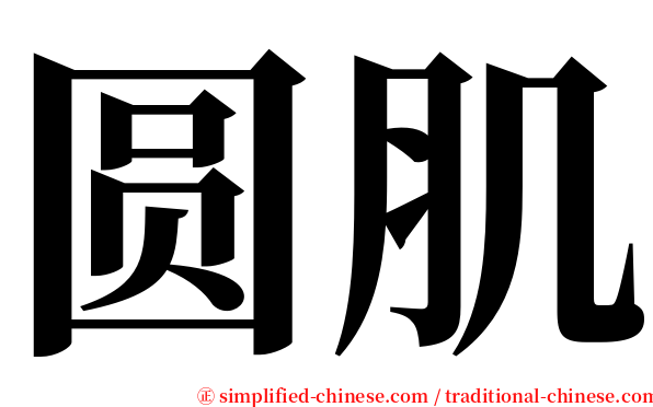 圆肌 serif font