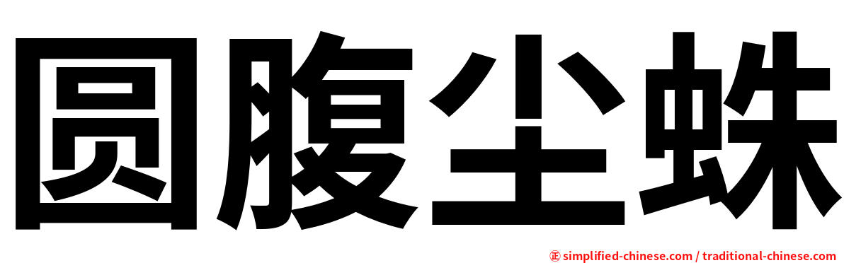 圆腹尘蛛