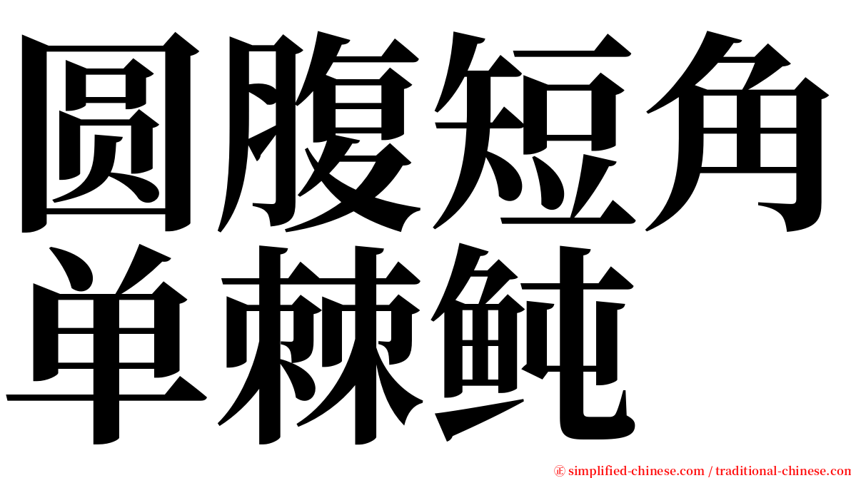 圆腹短角单棘鲀 serif font