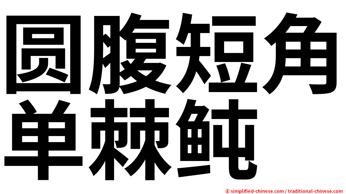 圆腹短角单棘鲀