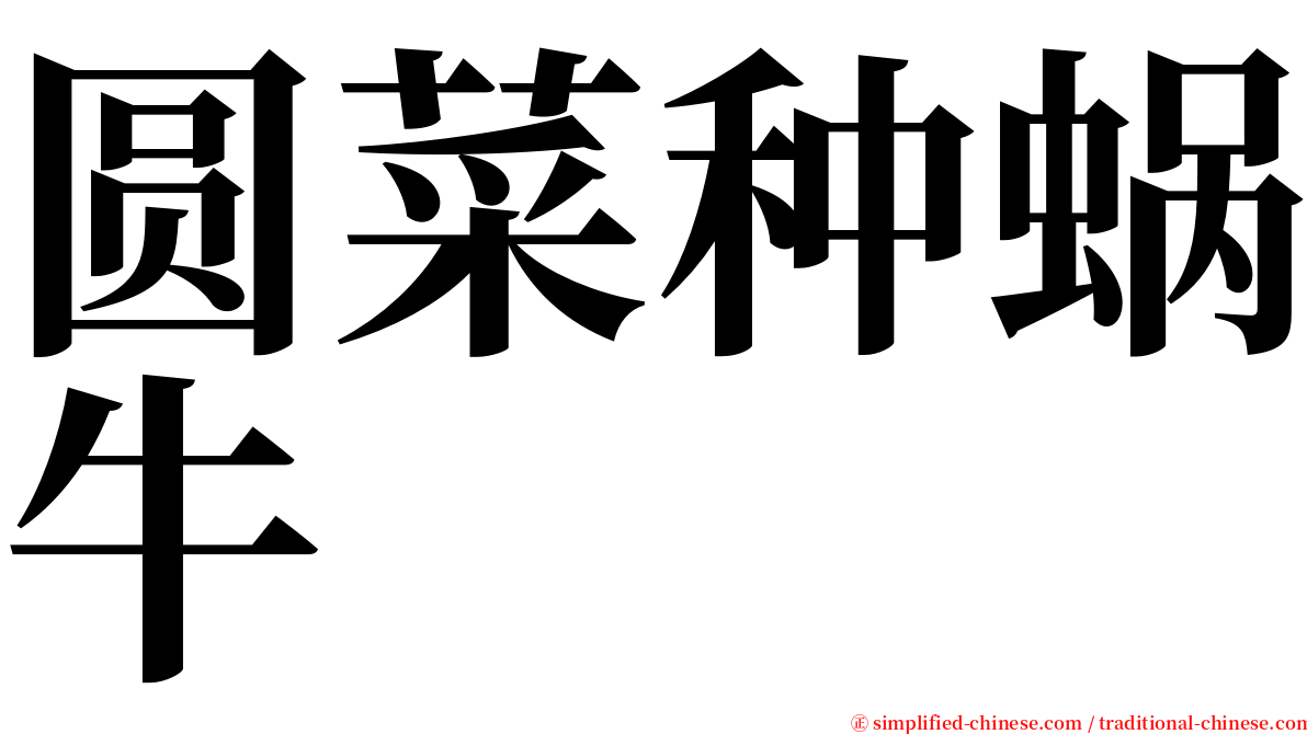 圆菜种蜗牛 serif font