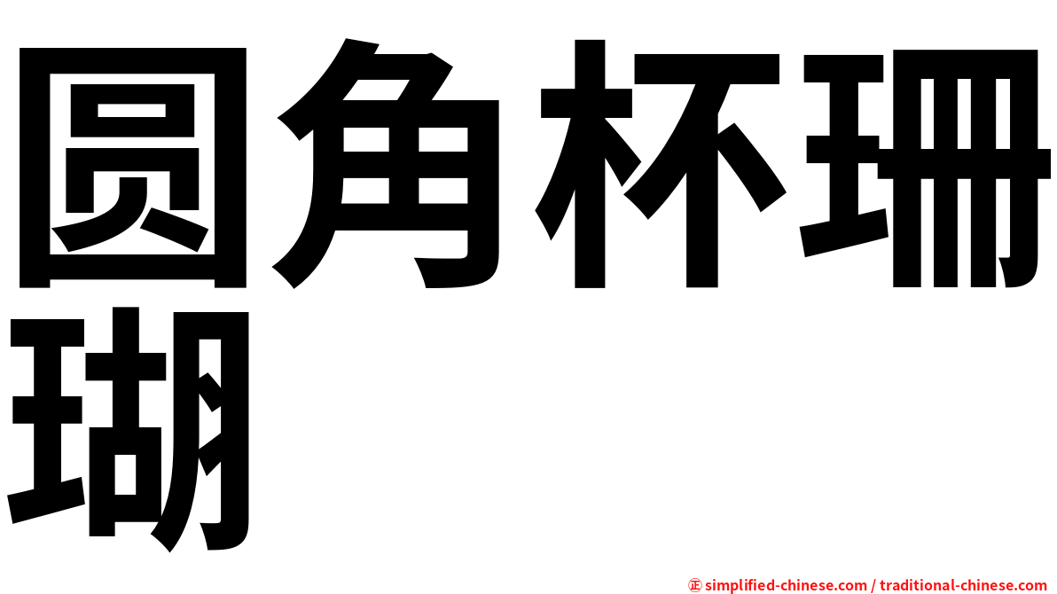 圆角杯珊瑚