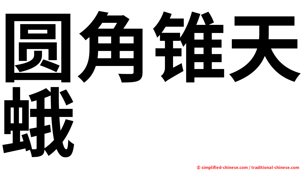 圆角锥天蛾
