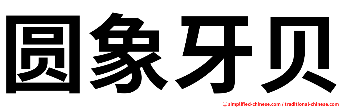 圆象牙贝