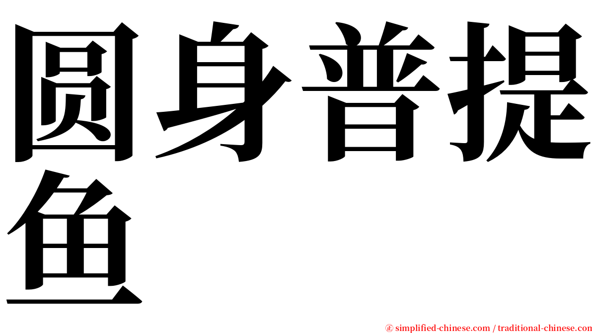 圆身普提鱼 serif font
