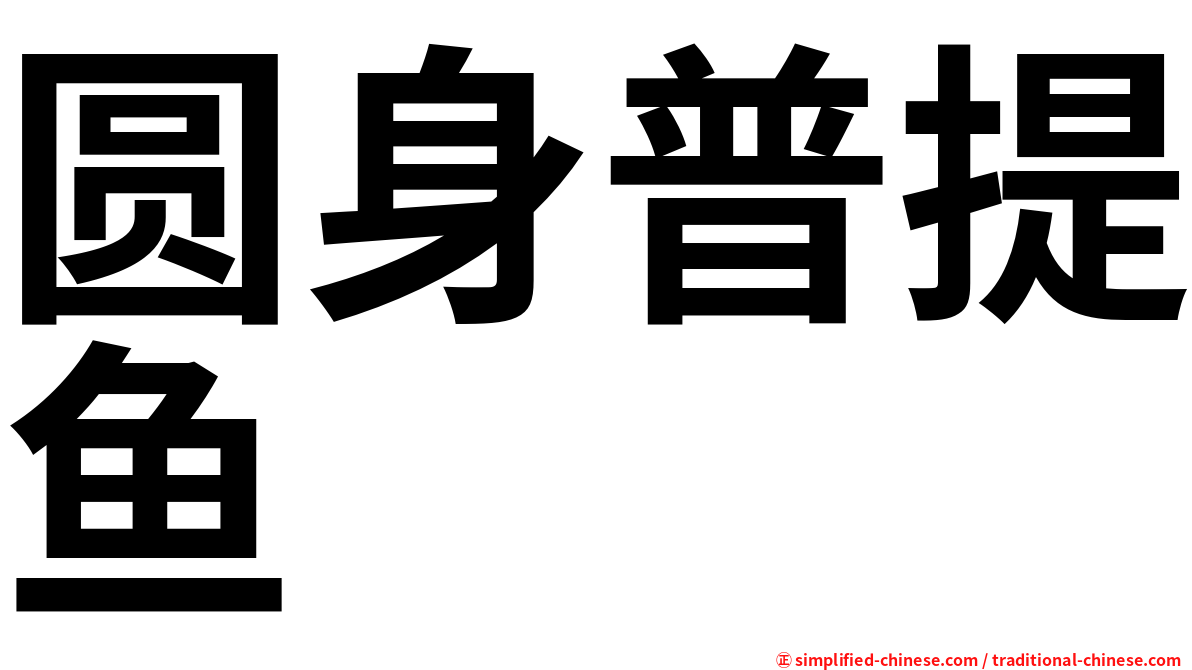圆身普提鱼