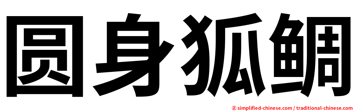 圆身狐鲷