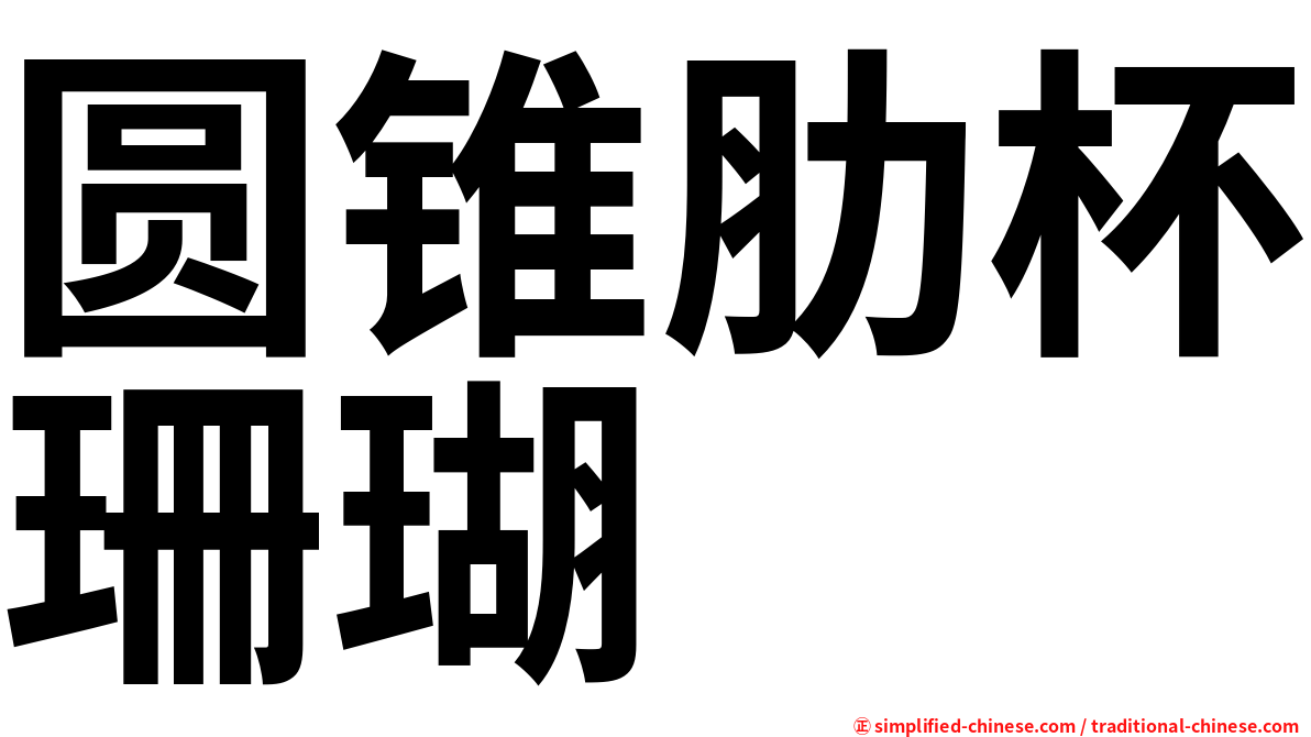 圆锥肋杯珊瑚