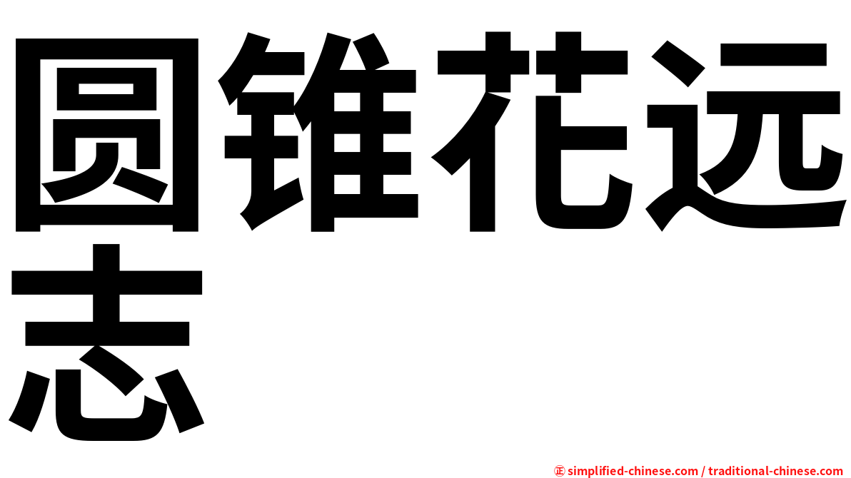 圆锥花远志