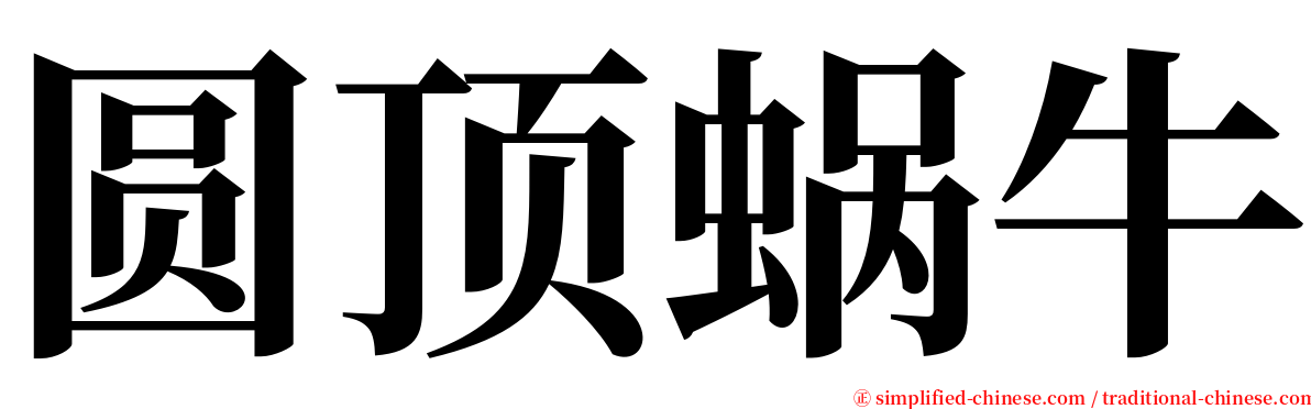 圆顶蜗牛 serif font