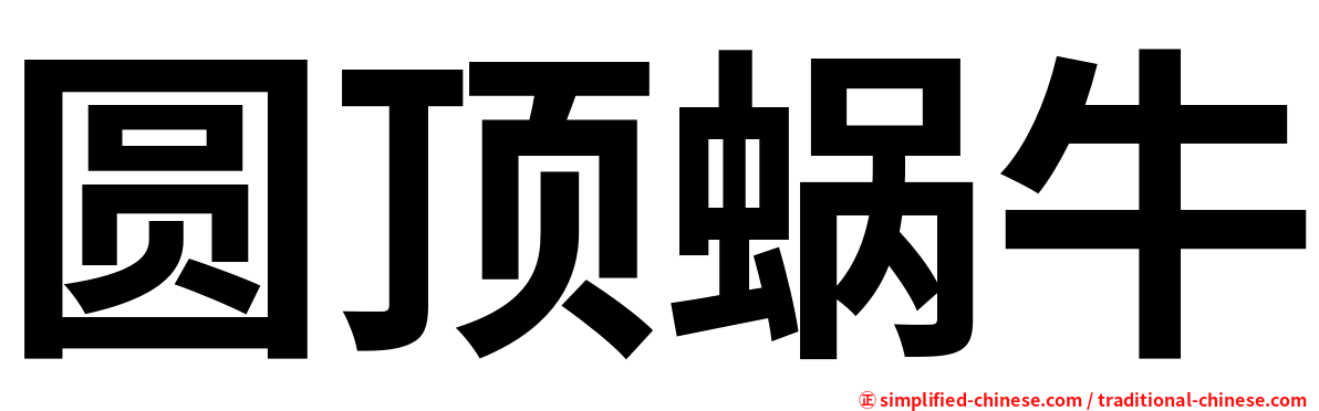 圆顶蜗牛