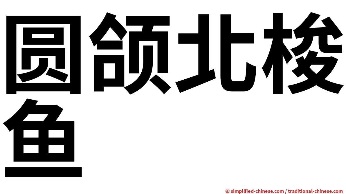 圆颌北梭鱼