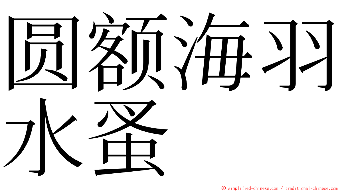 圆额海羽水蚤 ming font