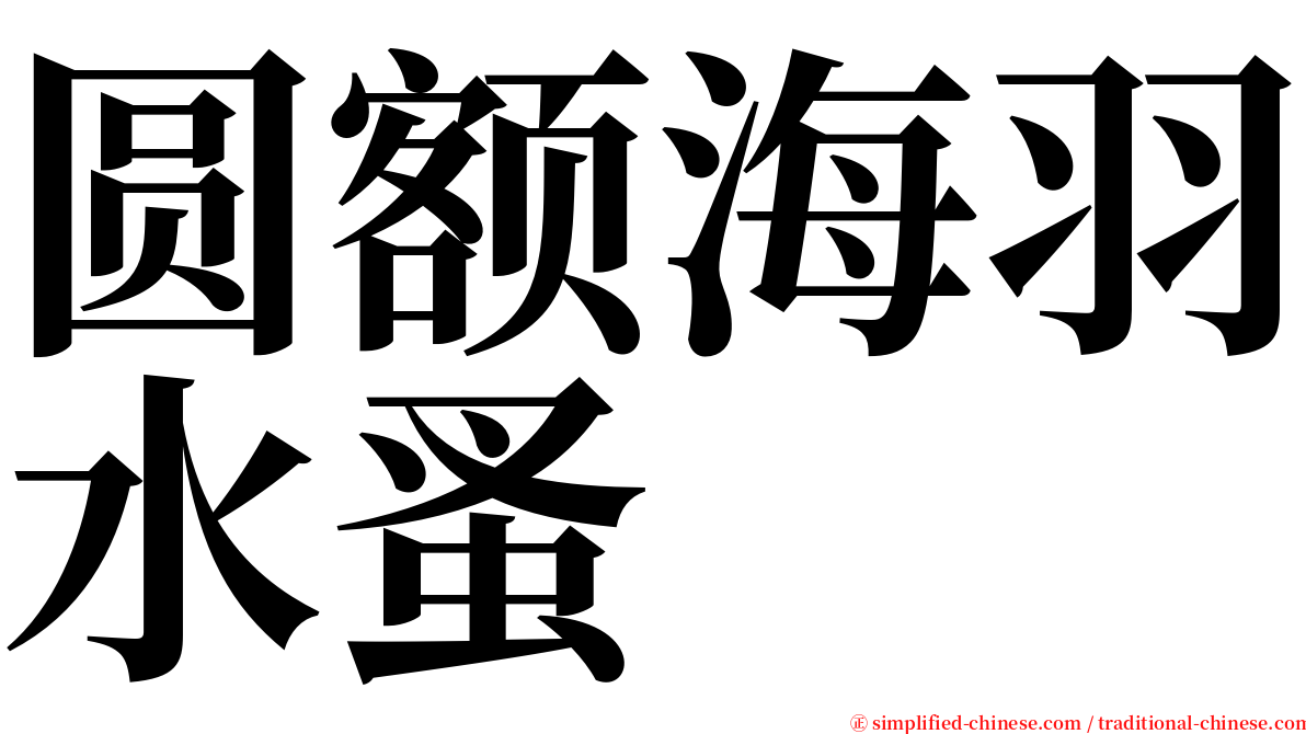 圆额海羽水蚤 serif font