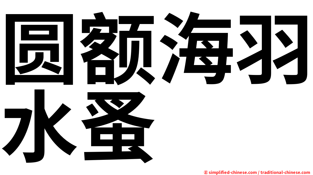 圆额海羽水蚤
