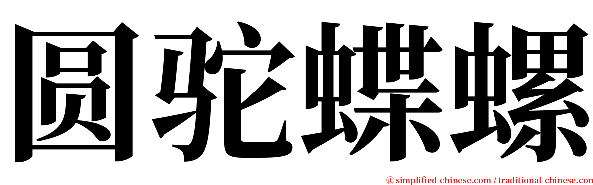 圆驼蝶螺 serif font