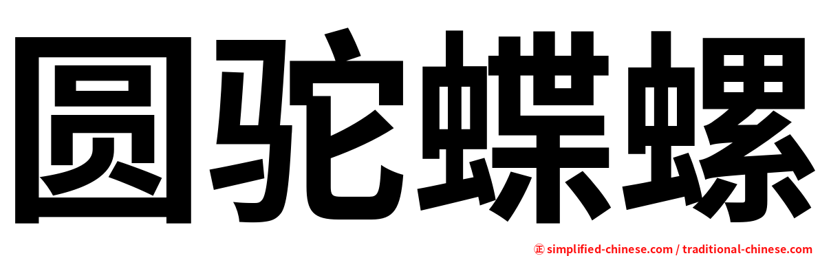 圆驼蝶螺