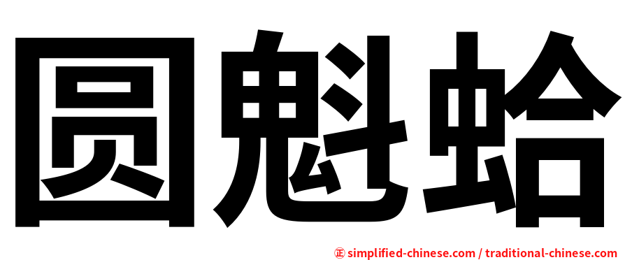 圆魁蛤