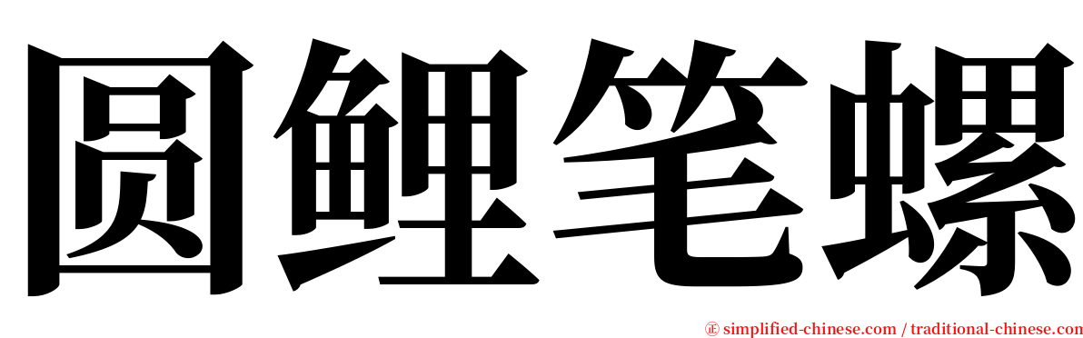 圆鲤笔螺 serif font