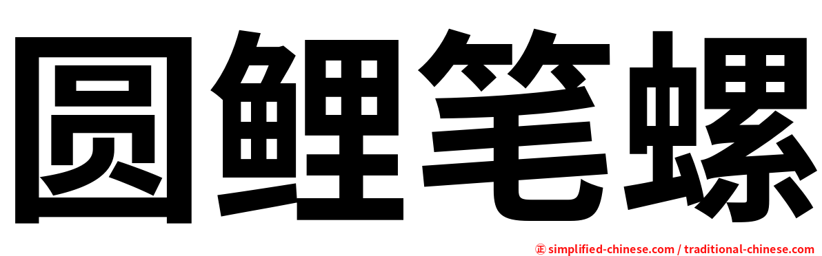 圆鲤笔螺