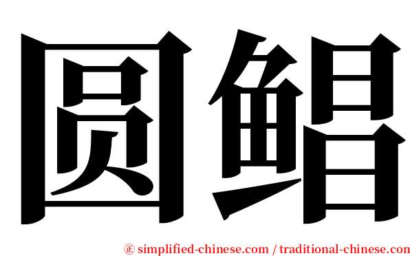 圆鲳 serif font