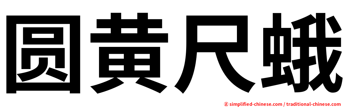 圆黄尺蛾