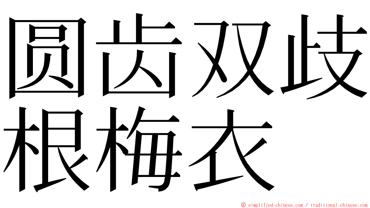圆齿双歧根梅衣 ming font