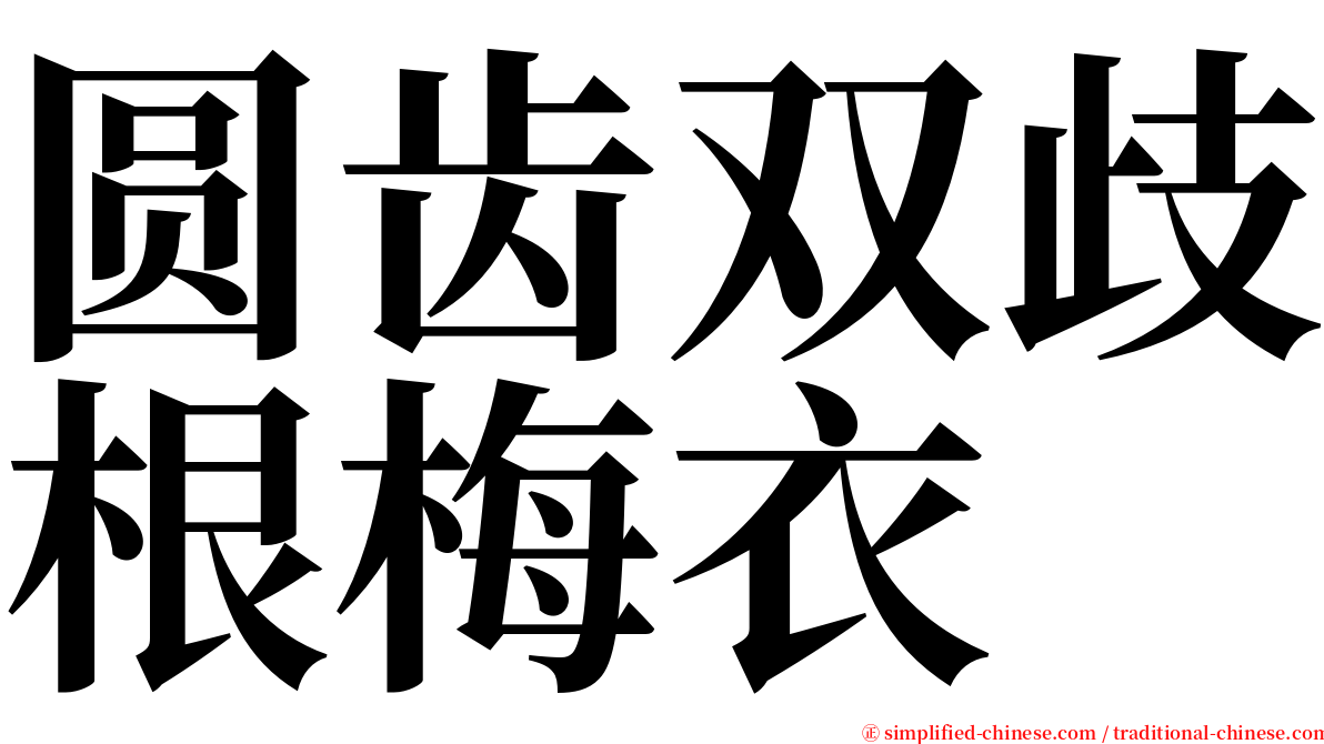 圆齿双歧根梅衣 serif font
