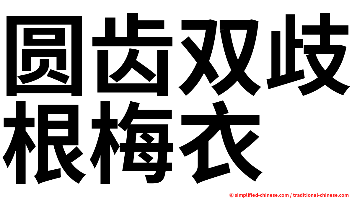 圆齿双歧根梅衣