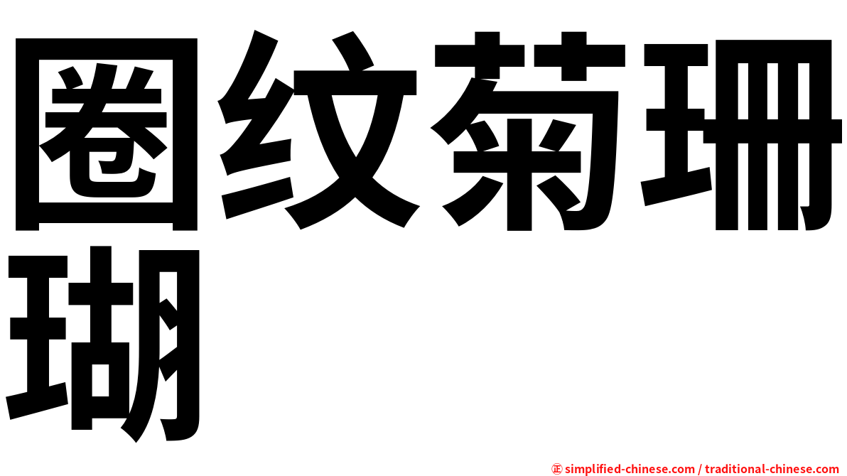 圈纹菊珊瑚