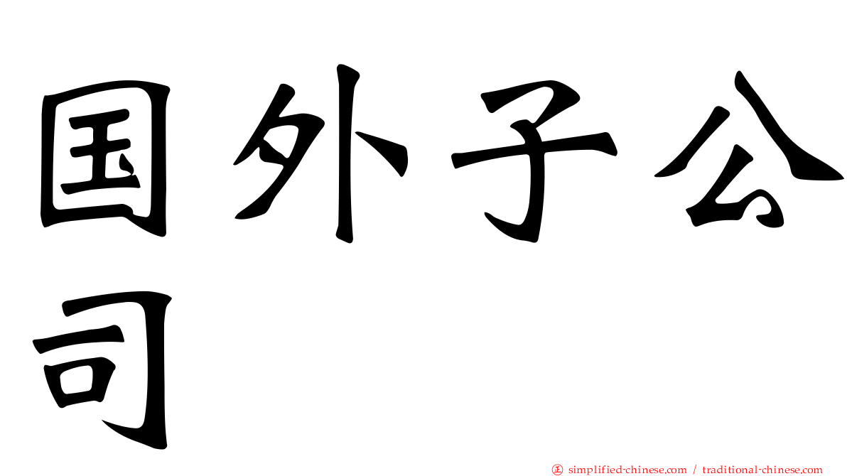 国外子公司