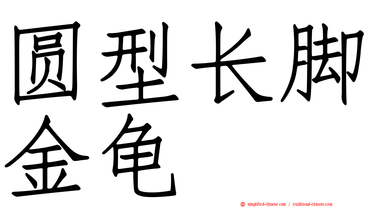 圆型长脚金龟
