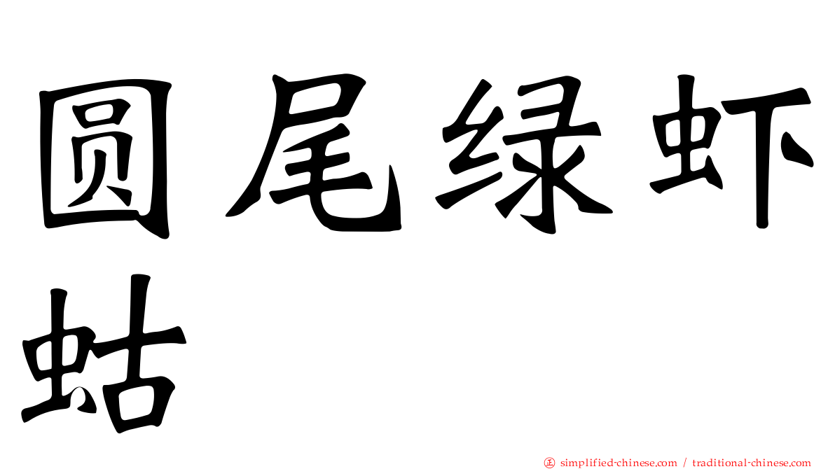 圆尾绿虾蛄