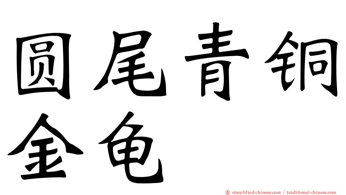 圆尾青铜金龟