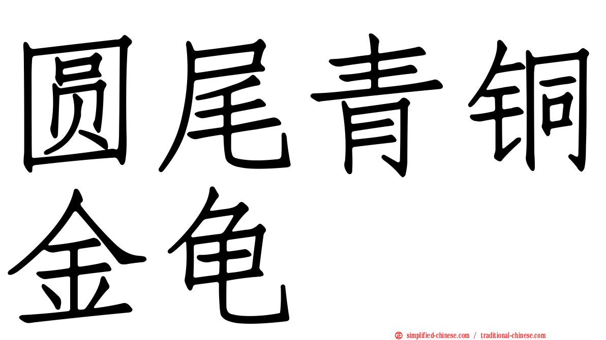 圆尾青铜金龟
